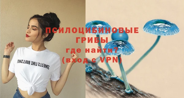 ешки Богородск