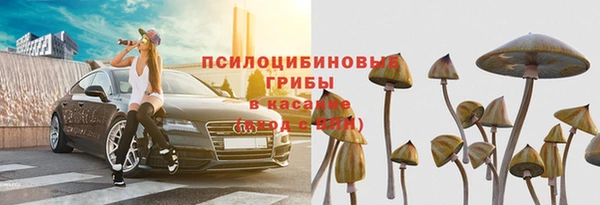 ешки Богородск