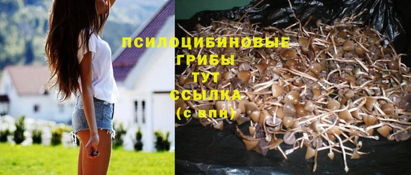 spice Арсеньев