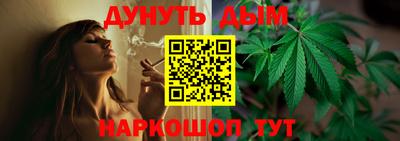 сатива Рязань