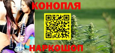 сатива Рязань