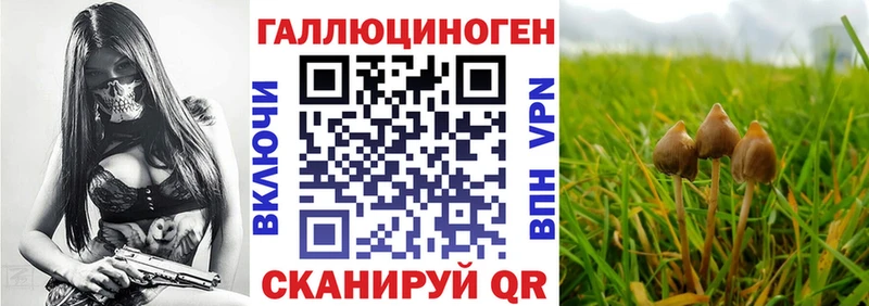 Галлюциногенные грибы мицелий  как найти   Пятигорск 