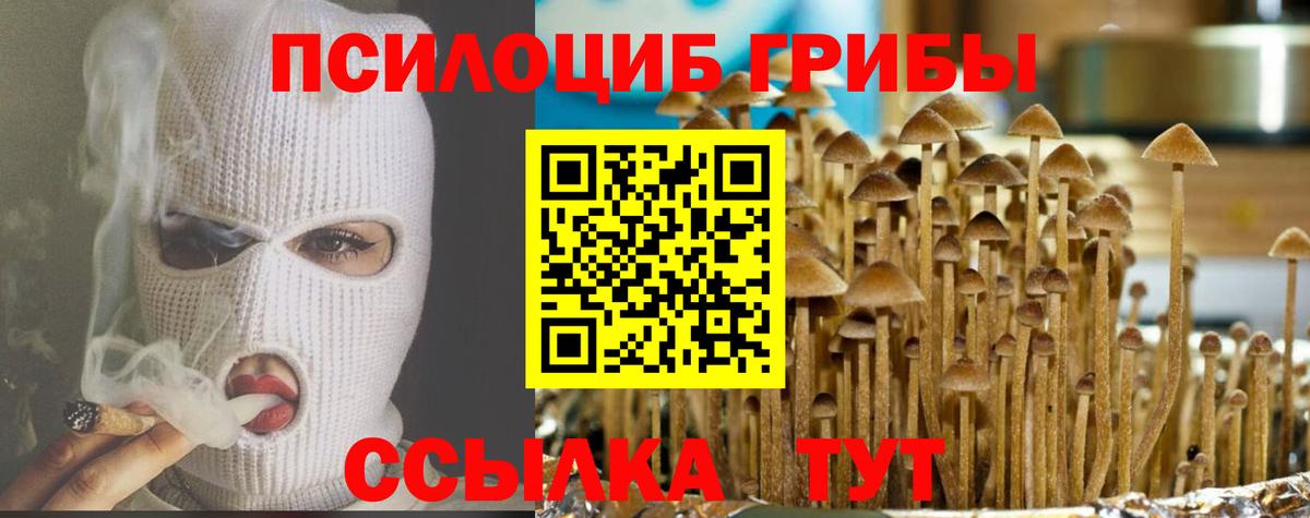 Псилоцибиновые грибы GOLDEN TEACHER  Вход с VPN  наркошоп  Пятигорск 