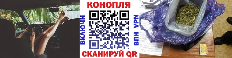 МАРИХУАНА гибрид  где купить   Пятигорск 